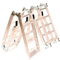 Oprijplaten 270 Kg 200 cm (2 stuks)