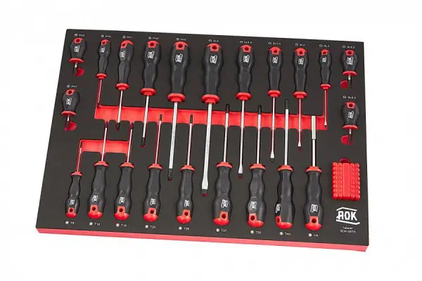 AOK PROFI 55-delige schroevendraaierset FOAM inlay