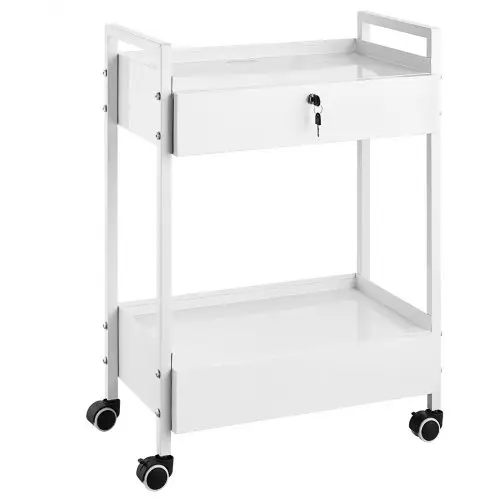 VEVOR Labwagen, 2-laags roestvrijstalen gereedschapswagen, medische wagen met 2 lades, verrijdbare labwagen, witte serveerwagen met zwenkwielen voor laboratorium, ziekenhuis, tandartspraktijk, salon, enz.